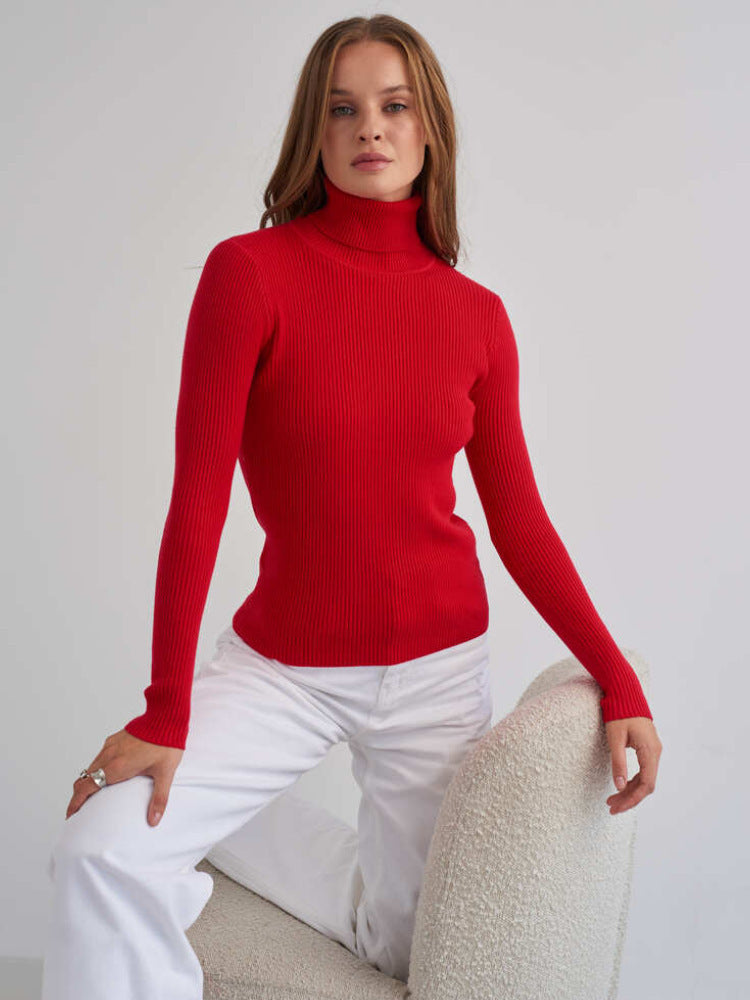 Ribbed Turtleneck Knit Sweater