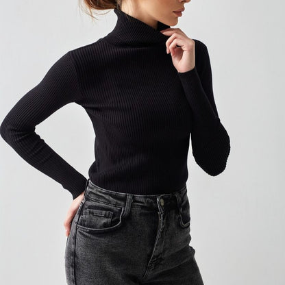 Ribbed Turtleneck Knit Sweater
