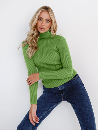 Ribbed Turtleneck Knit Sweater