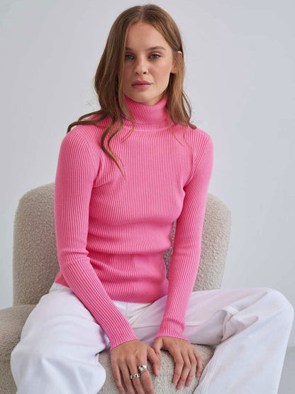 Ribbed Turtleneck Knit Sweater